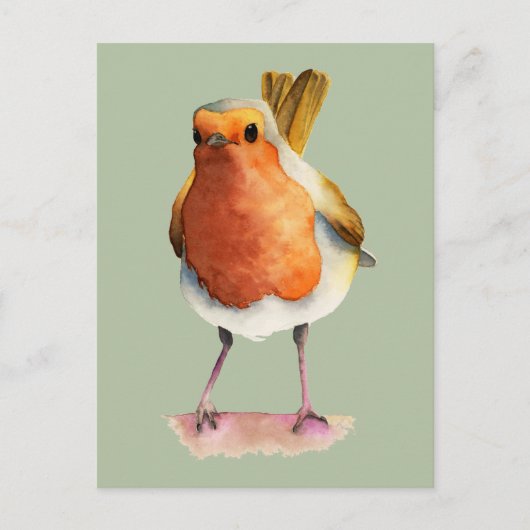 Cute Oranje Robin Bird Waterverf Art Briefkaart (Voorkant)