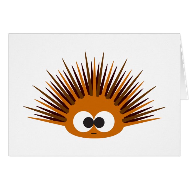 Cute Oranje Spiny Zee Urchin (Voorkant Horizontaal)