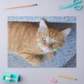 Cute Oranje Tabby Cat Decoupage Tissuepapier (Craft)