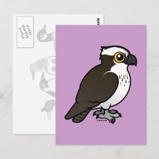 Cute Osprey Briefkaart (Voorkant / Achterkant)