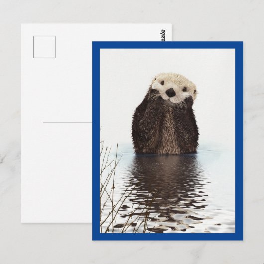 Cute Otter Animal Blue Briefkaart (Voorkant / Achterkant)