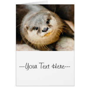 Cute Otter, Animal Portret, Natuur Fotografie