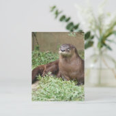 Cute Otter Briefkaart (Staand voorkant)