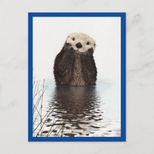 Cute Otter Dier Blauw Briefkaart