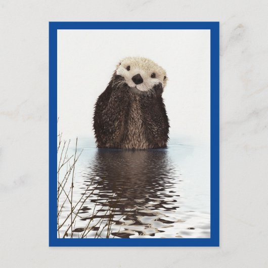Cute Otter Dier Blauw Briefkaart (Voorkant)