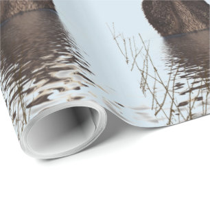 Cute Otter in een Pond die zijn gezicht houdt Cadeaupapier