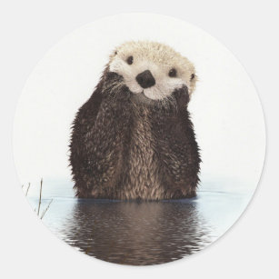 Cute Otter Wildlife Afbeelding Ronde Sticker