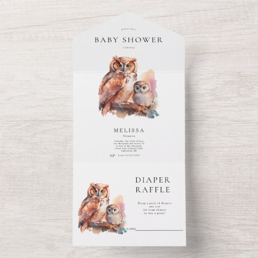 Cute Owl Baby shower Invitation and Diaper Raffle All In One Uitnodiging (Binnen)