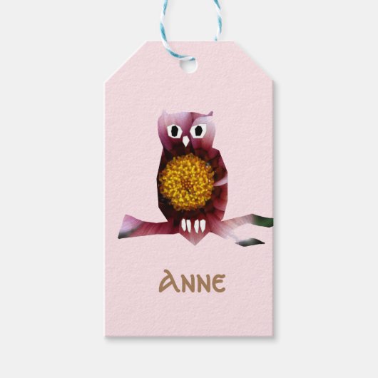 Cute Owl, Bird, Girl Party Custom Gift Labels Cadeaulabel (Voorkant)