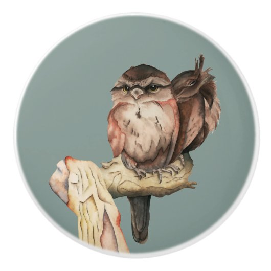 Cute Owl Birds Waterverf Portret Keramische Knop (Voorkant)