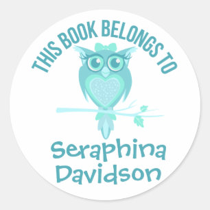Cute Owl book bord name aqua id label sticker