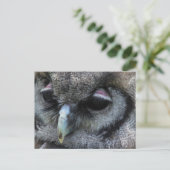 Cute Owl Briefkaart (Staand voorkant)