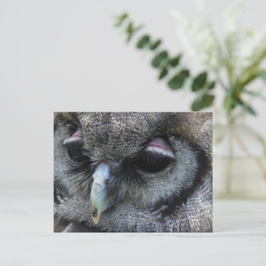 Cute Owl Briefkaart (Staand voorkant)