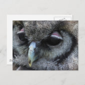 Cute Owl Briefkaart (Voorkant / Achterkant)