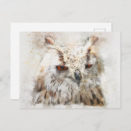 Cute owl briefkaart (Voorkant / Achterkant)