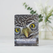 Cute Owl Face Briefkaart (Staand voorkant)