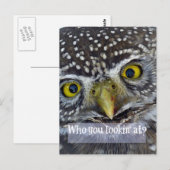 Cute Owl Face Briefkaart (Voorkant / Achterkant)