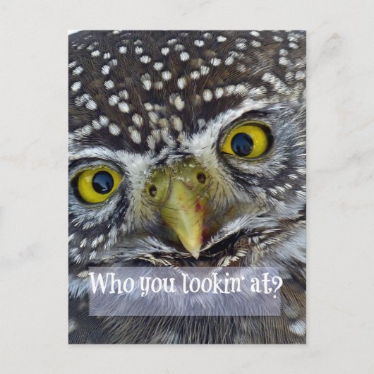 Cute Owl Face Briefkaart (Voorkant)