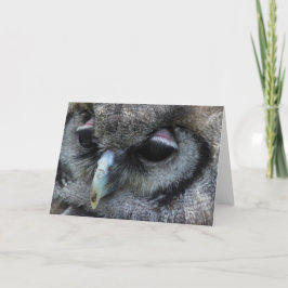 Cute Owl Kaart