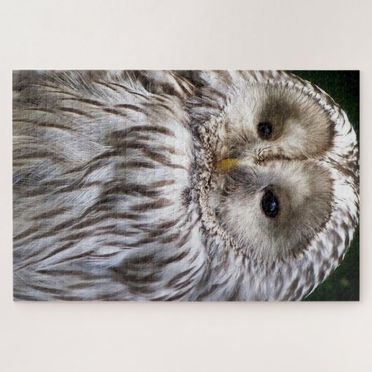 CUTE OWL LEGPUZZEL (Horizontaal)