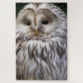 CUTE OWL LEGPUZZEL (Verticaal)
