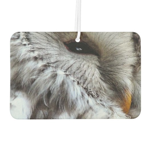 CUTE OWL LUCHTVERFRISSER (Achterkant)