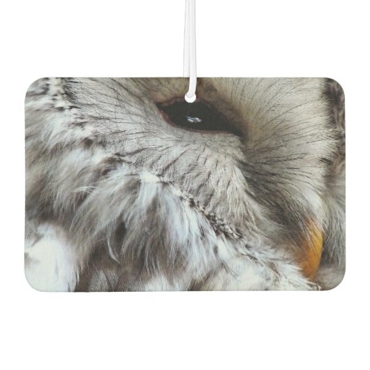 CUTE OWL LUCHTVERFRISSER (Voorkant)