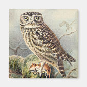 Cute Owl Magneet (Voorkant)