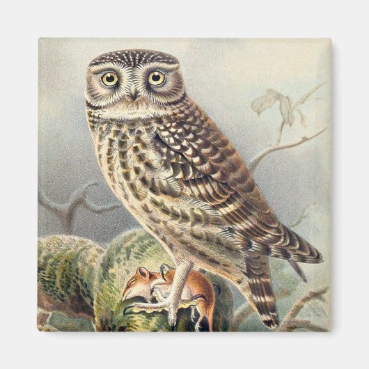 Cute Owl Magneet (Voorkant)