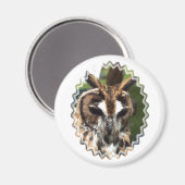 CUTE OWL MAGNEET (Voorkant / Achterkant)