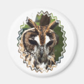 CUTE OWL MAGNEET (Voorkant)