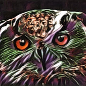 CUTE OWL POKERKAARTEN