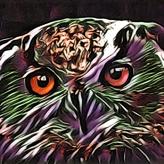 CUTE OWL POKERKAARTEN