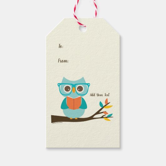 Cute Owl Reading Personalized Colorful Turquoise Cadeaulabel (Voorkant)