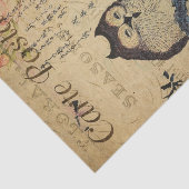 Cute Owl roze Roses French Ephemera Decoupage Tis Tissuepapier (Detail)