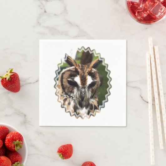 CUTE OWL SERVET (Insitu)