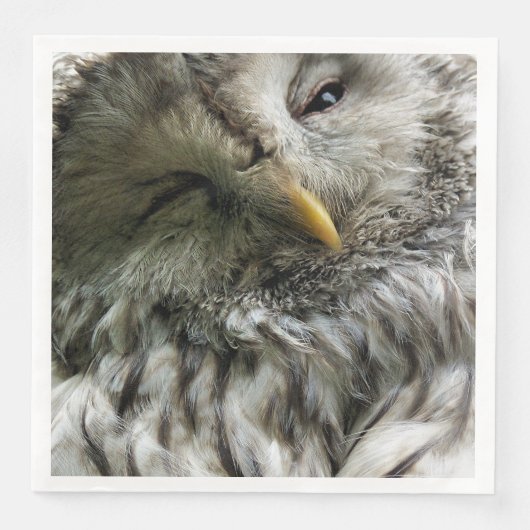 CUTE OWL SERVETTEN (Voorkant)