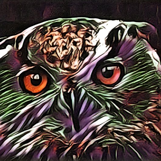 CUTE OWL TAFELTENNISBATJE