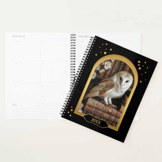 Cute Owl Teacher Class Year  Planner (Display)