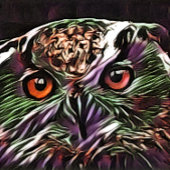 CUTE OWL VIERKANTE BUTTON 5,1 CM