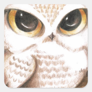 Cute Owl Vierkante Sticker