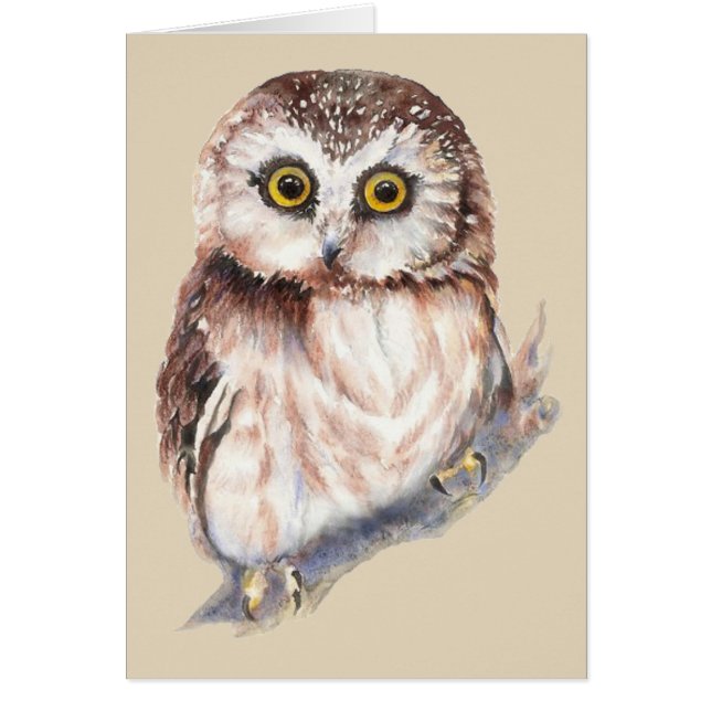 Cute Owl - Waterverf Bird Collectie (Voorkant)