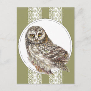 Cute Owl - Waterverf Bird, Wildlife, Natuur Briefkaart