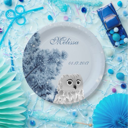 Cute Owl Winter Kinder Custom Birthday Party Papieren Bordje (Feest)