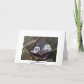 Cute Owls Kaart (Achterkant)