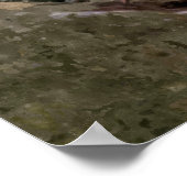 Cute Owls Poster (Hoek)