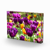 Cute paarse en gele tulpen fotoblokken (Rechts)