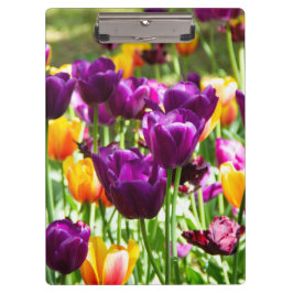 Cute paarse en gele tulpen klembord