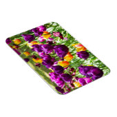 Cute paarse en gele tulpen magneet (Rechterzijde)