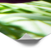 Cute paarse en gele tulpen poster (Hoek)